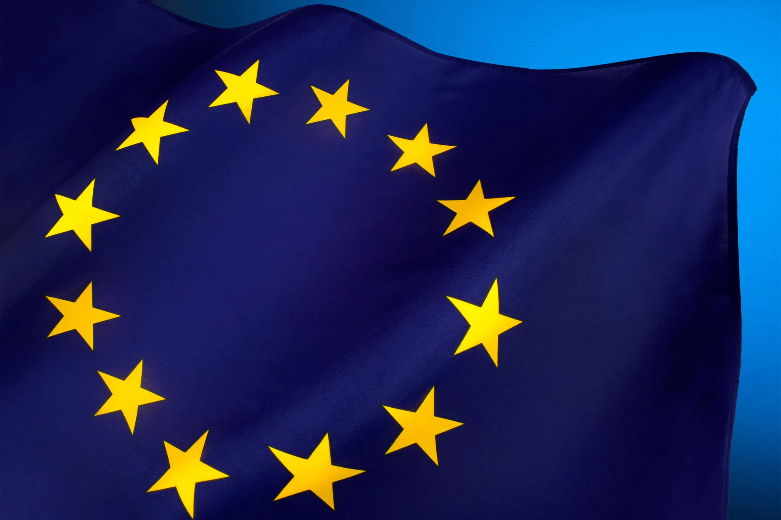 Bandiera dell'Unione europea